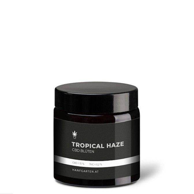 Hanfgarten Tropical Haze