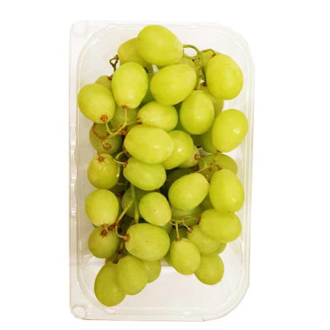 Trauben weiß kernlos