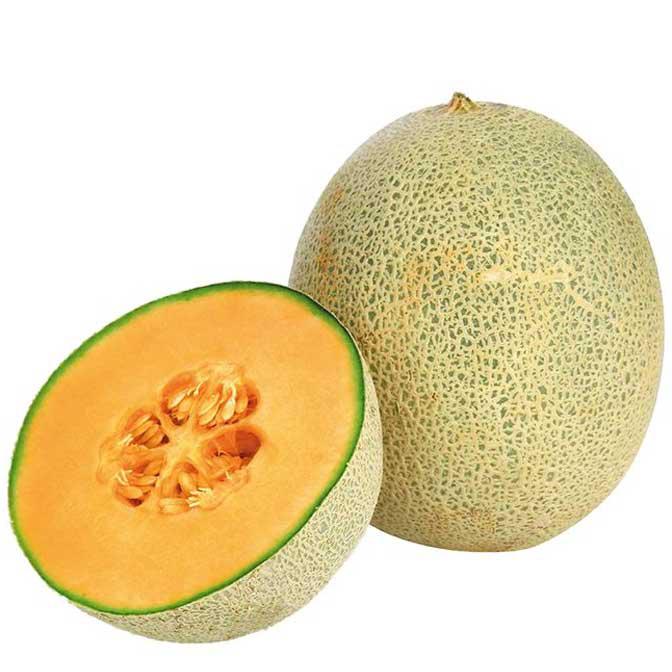Honigmelone