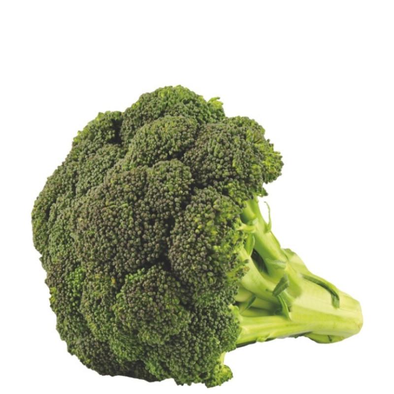 Broccoli